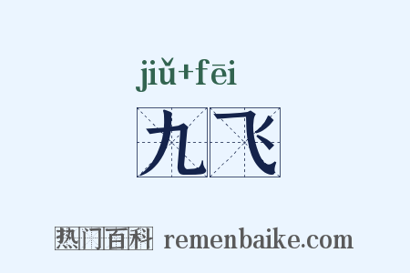 九飞是什么意思的图片